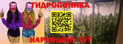 PSILOCYBIN Татарск